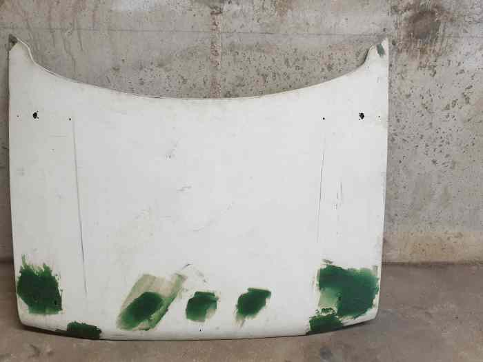 Capot 205 en fibre 1