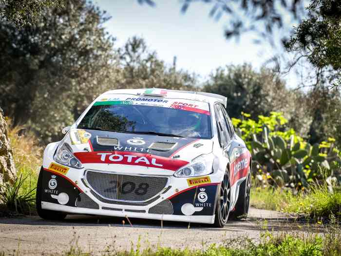 Peugeot 208 T16 R5 full evo V.2019 con numerosi ricambi e due motori 0