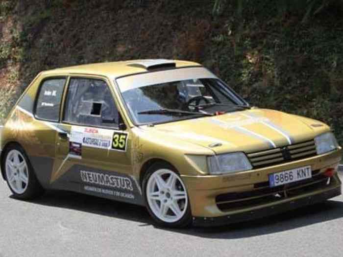 A VENDRE PEUGEOT 205 F2000 (KIT MAXI) 0