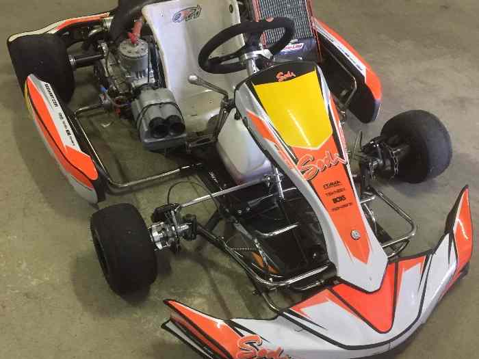 Vend Karting 125 KZ10C US 2017 état neuf 0