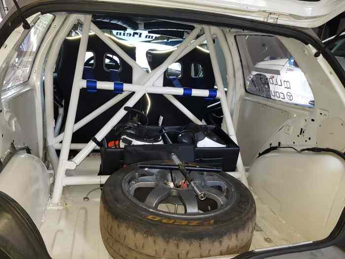 Clio williams f2014 4