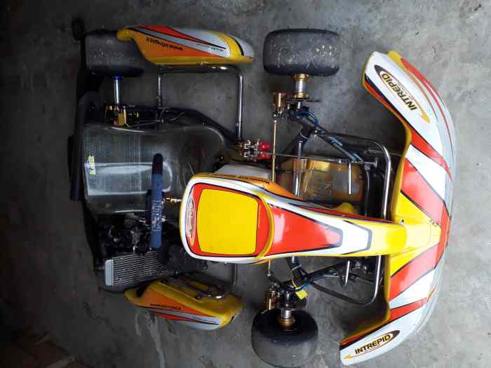 Karting 125 Rotax Max 0