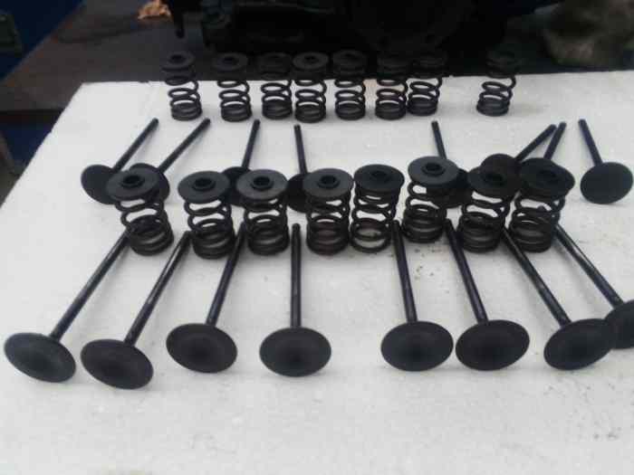 Kit soupapes forgées, poussoir, ressorts, coupelles 306GR A 1