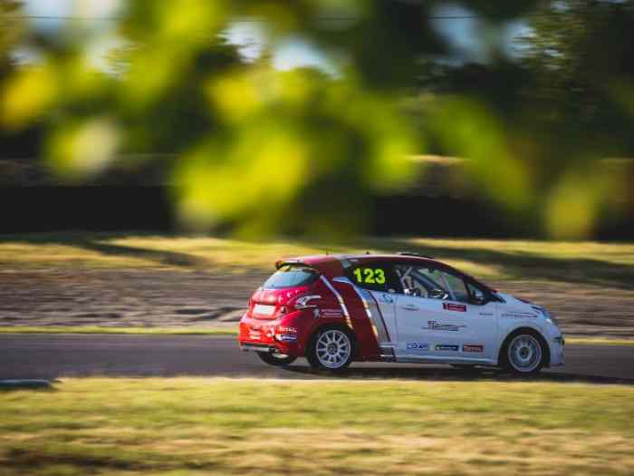 208 Racing Cup 3