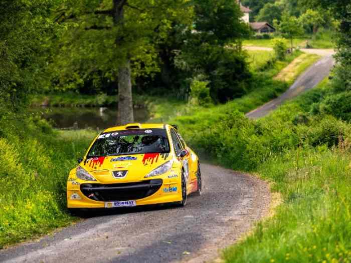 Peugeot 207 S2000 Full evo 1