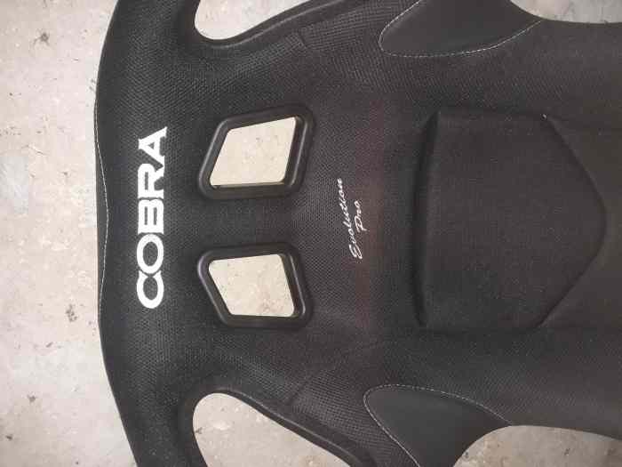 Baquet Cobra / harnais TRS 0