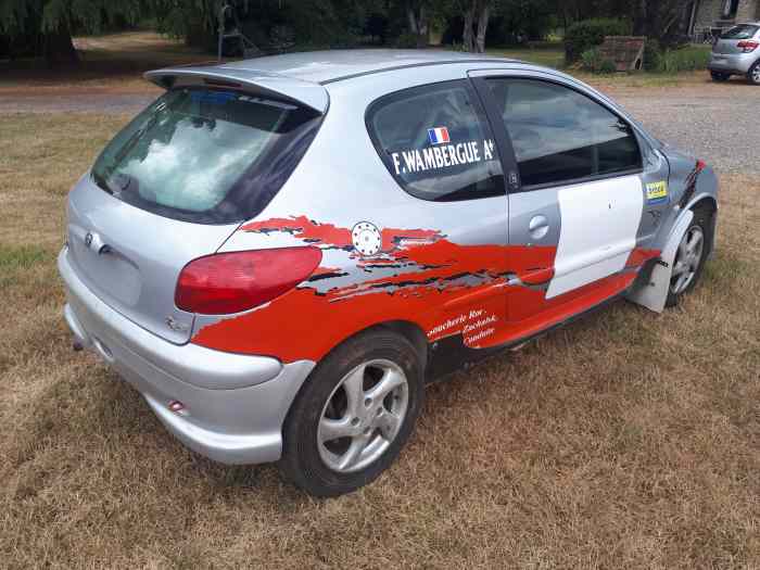 206 S16 GT F2014 Terre 1