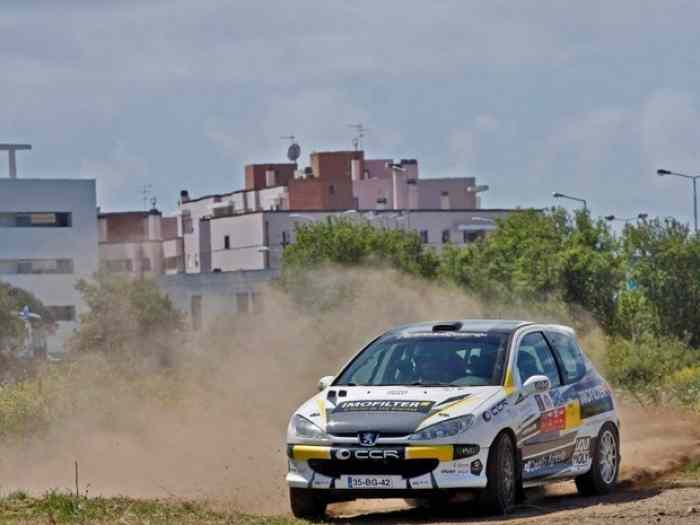Peugeot 206 RC Gr.A 4
