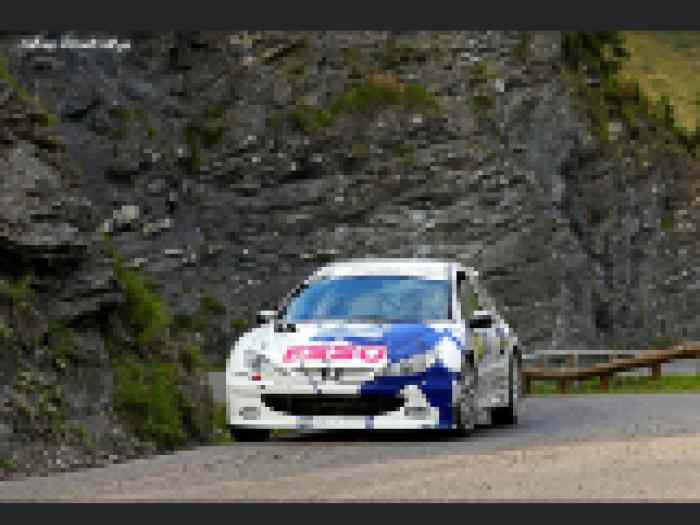Vends Peugeot 206 s1600 toutes evos 2
