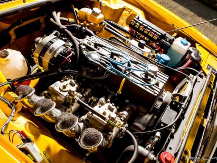 R17 Gordini Gr.4 1974 3