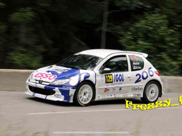Vends Peugeot 206 s1600 toutes evos 1