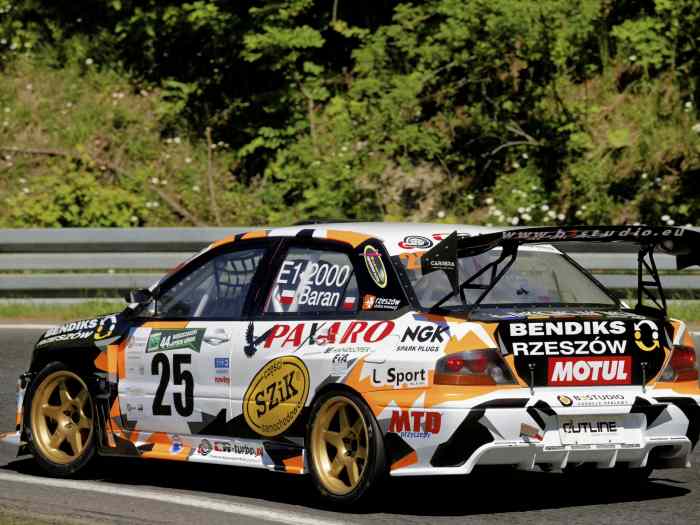Mitsubishi Lancer Evo BergMonster 3