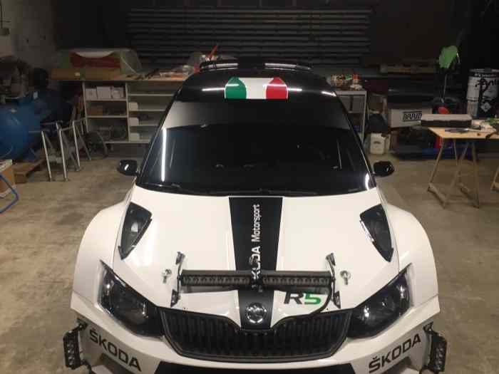 Skoda Fabia r5 1