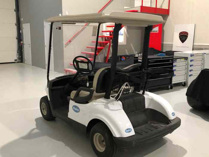 Golf Car for sale – photo 3 sur 5