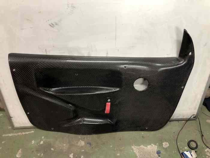 Panneaux de porte en carbone Citroen C2 1