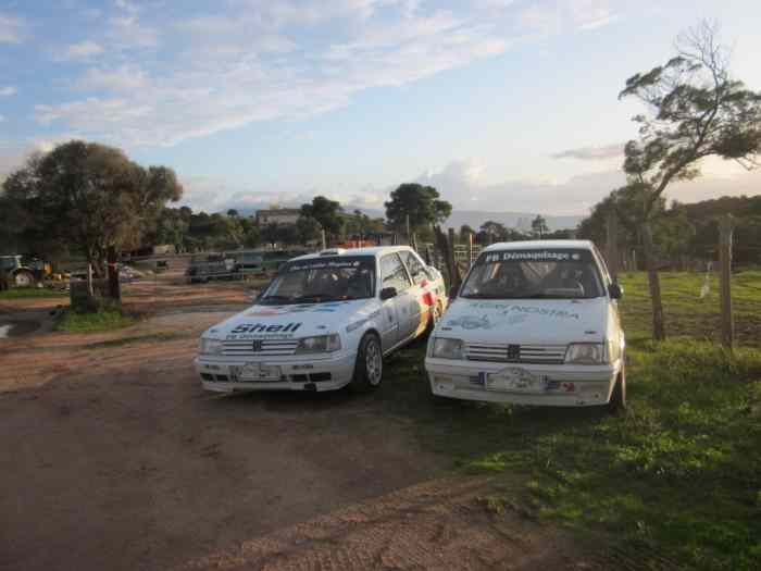 vend lot de 2 voitures 309 GTI  205 GTI 0