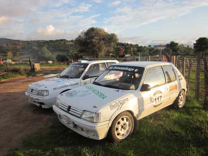 vend lot de 2 voitures 309 GTI  205 GTI 1