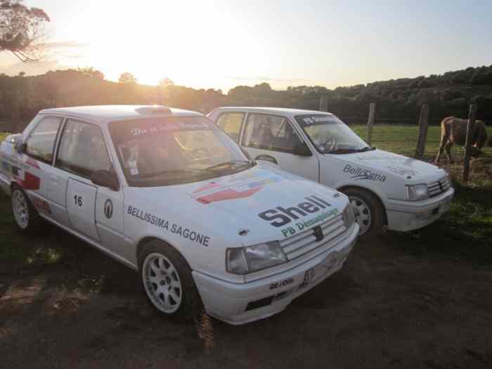 vend lot de 2 voitures 309 GTI  205 GTI 2