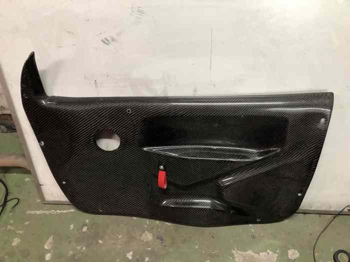 Panneaux de porte en carbone Citroen C2 0