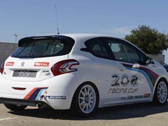 Peugeot 208 RPS ou R2