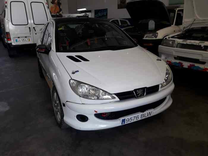 Peugeot 206 GTI/RC 2.0 Asphalt et Terre 0