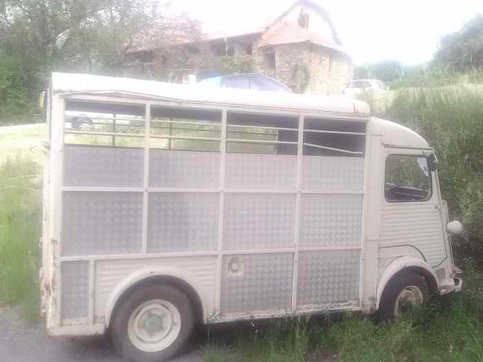 Hy bétaillère food truck ou publicitaire