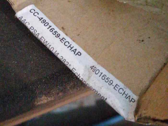 AAC Échappement EW10J4 réf 4901659