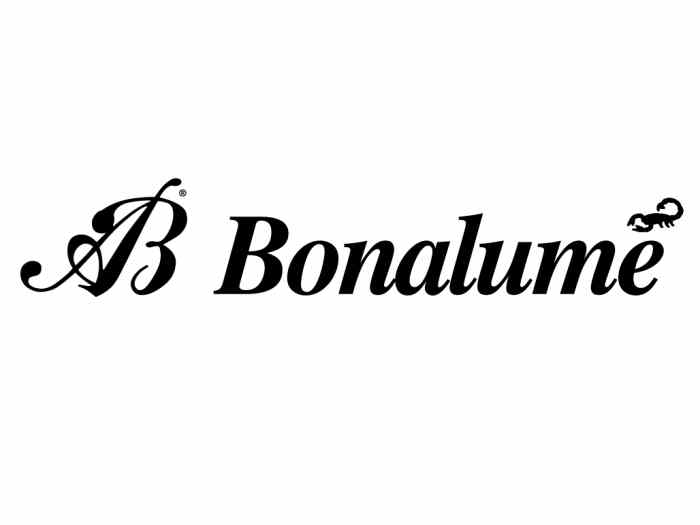 Pop off Bonalume EVS1 à décharge externe pour moteur TSI & TFSI du groupe VAG (pour vanne extérieure au turbo) 2