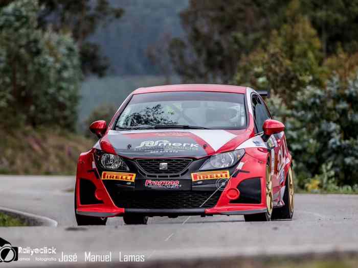 2011 Seat Ibiza SC Trophy