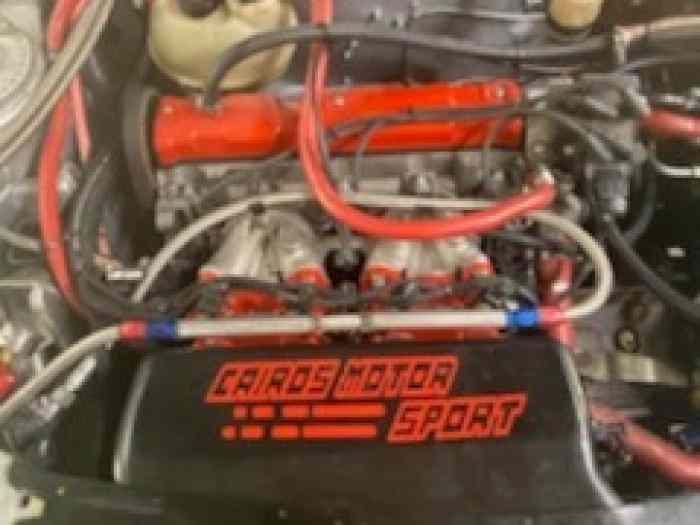 PEUGEOT 205 GTI F2000/14 2