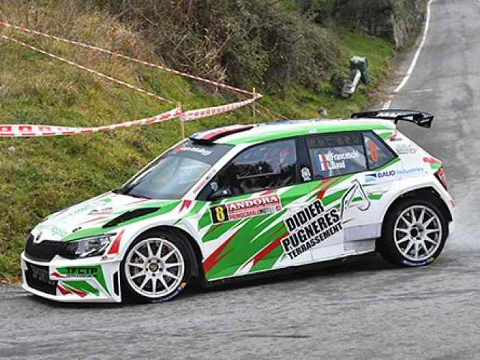 SKODA FABIA R5 #233 ( MATT FRANCESCHI ...