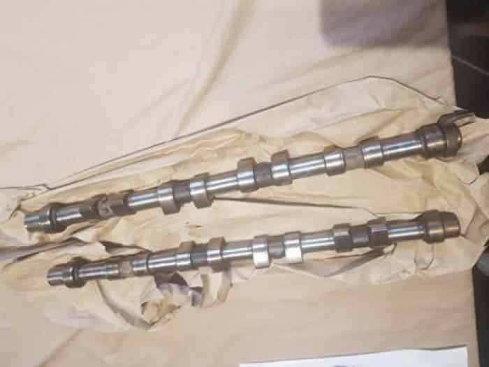 Arbre a cames 405 T16