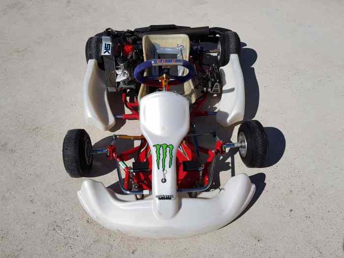 Minikart birel