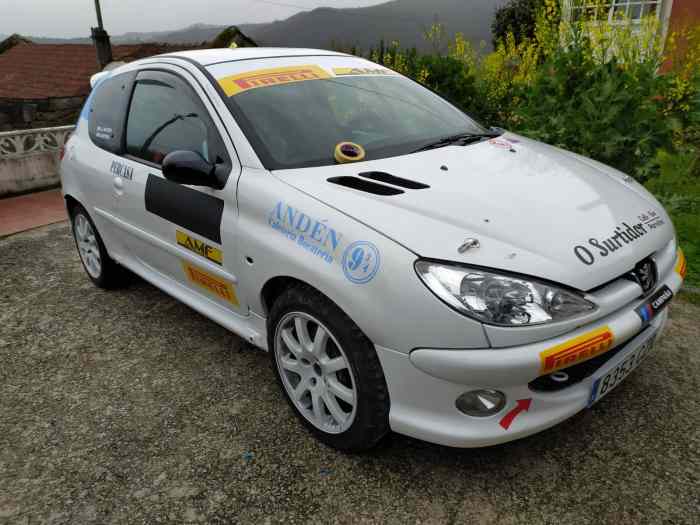 Peugeot 206 RC grupo tope grupo N 0