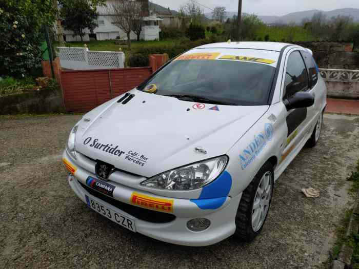 Peugeot 206 RC grupo tope grupo N 2