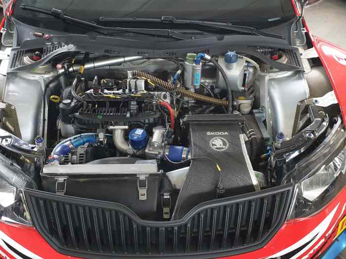 Skoda Fabia R5 chassis #066 4