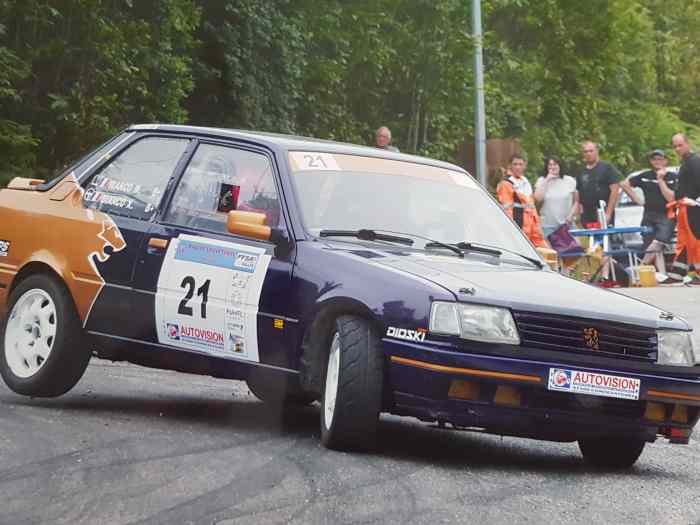 Peugeot 309 Gti 16s Bv6 F2014 + gros lot de bord (1 autre en pièces) 0