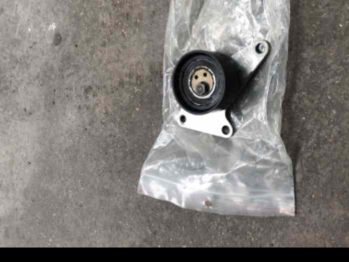 Galet tendeur courroie accessoire Peugeot 207 s2000