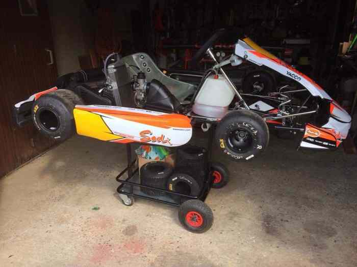 Karting sodi 125cm3 rotax national