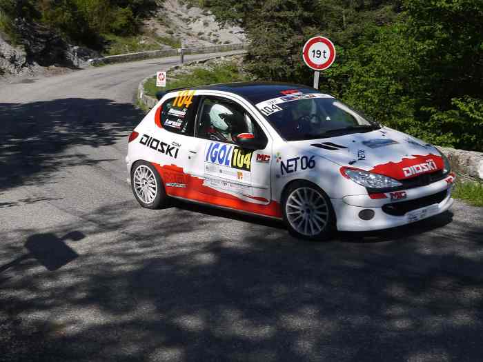Peugeot 206 RC F2014 0