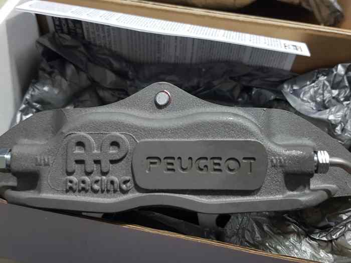 Ap Racing Peugeot 106 mini Gr.A rallye Cup 2