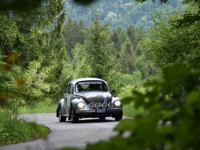 Volkswagen 1302S 