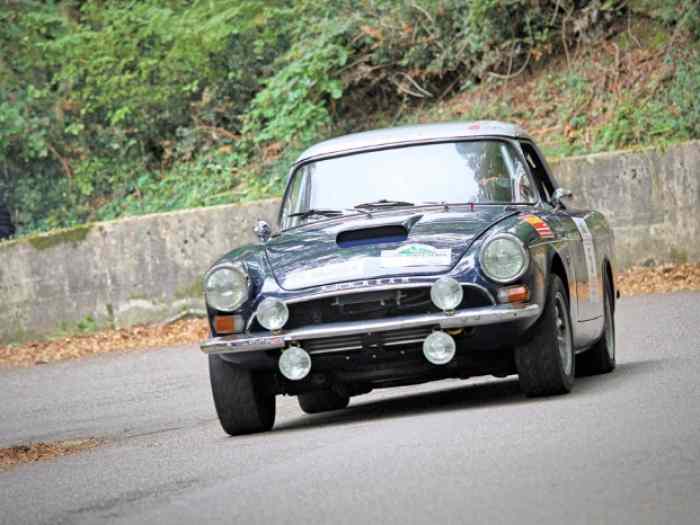 Sunbeam Tiger Mk1, race car , 1965 – photo 1 sur 6
