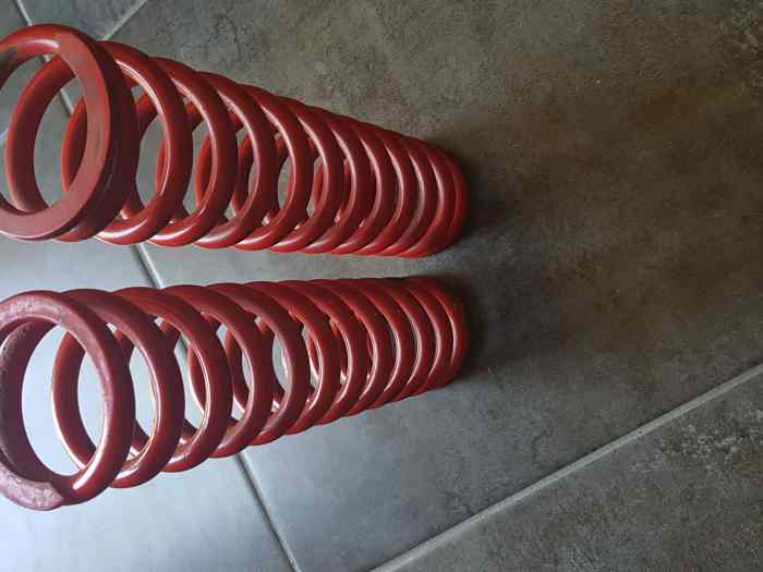 Ressort proflex arriere clio2 – photo 2 sur 2