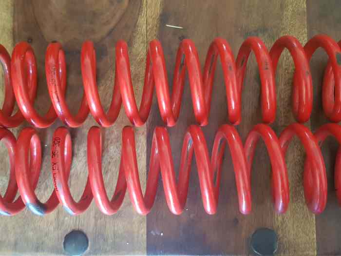 Ressort proflex arriere clio2 – photo 1 sur 2