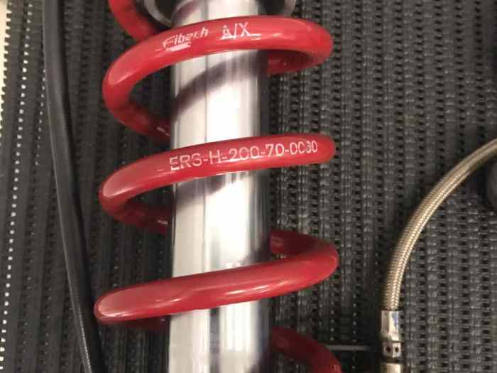 Suspensión Dinámic 3 vias clio Williams grupo A 2