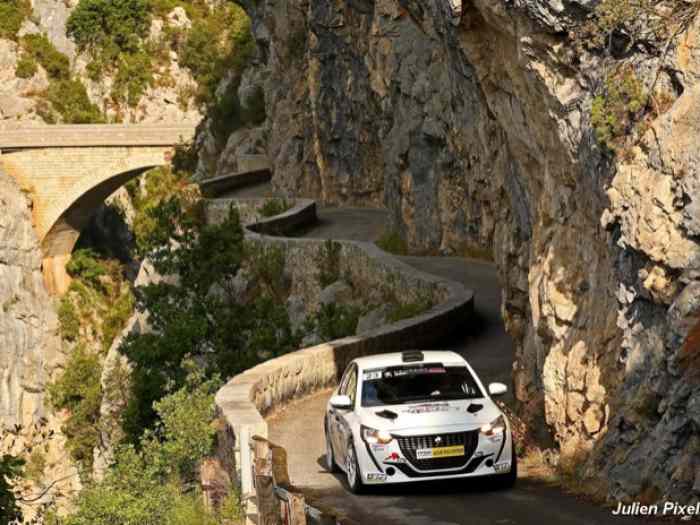 Peugeot 208 Rally 4 0