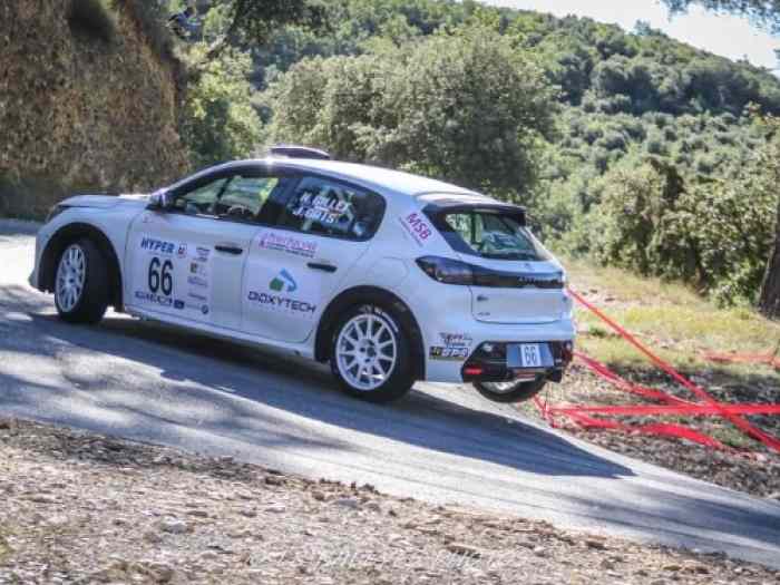 Peugeot 208 Rally 4 4