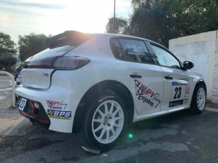 Peugeot 208 Rally 4 3