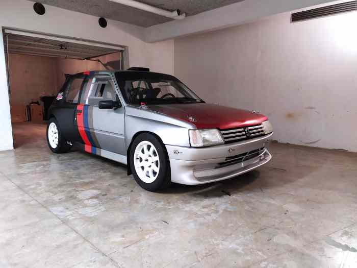 Peugeot 205 F2000 LENY COMPETITION 0